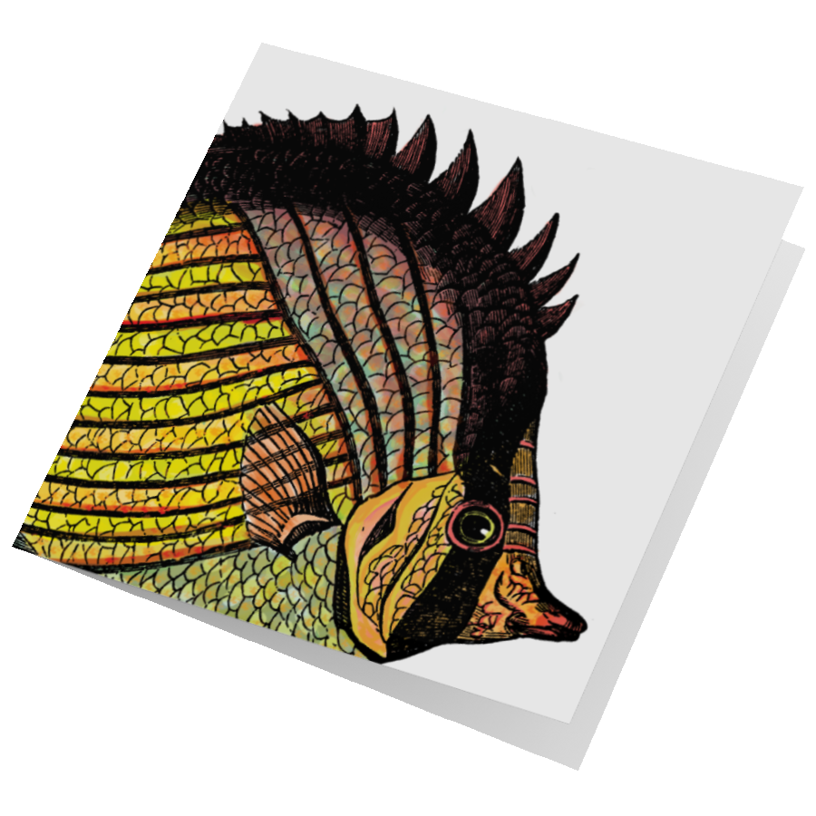 Butterfly Fish Card